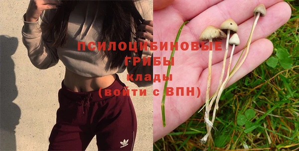 гашишное масло Верхний Тагил