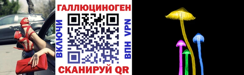 Псилоцибиновые грибы Cubensis  Новокузнецк 